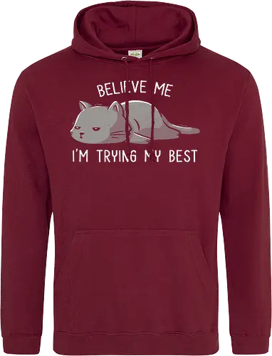 Believe Me I'm Trying My Best