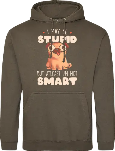 I May Be Stupid