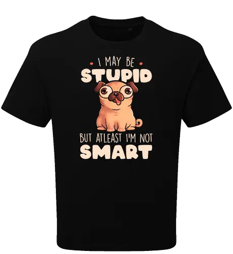 I May Be Stupid