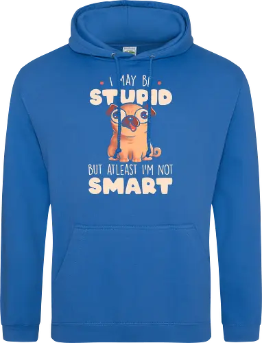 I May Be Stupid