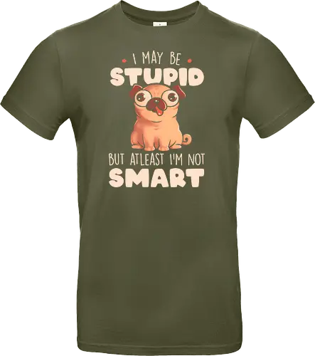 I May Be Stupid