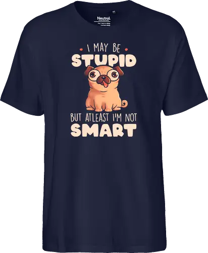 I May Be Stupid