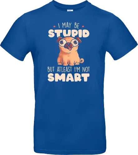 I May Be Stupid