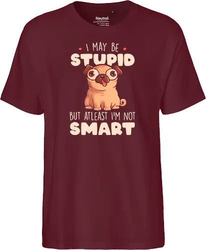 I May Be Stupid