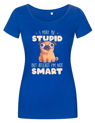 I May Be Stupid