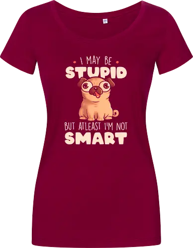 I May Be Stupid