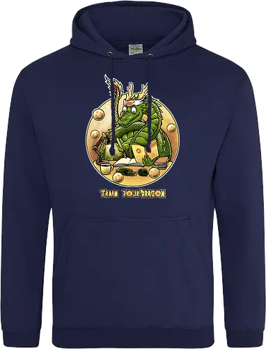 Train your Dragon