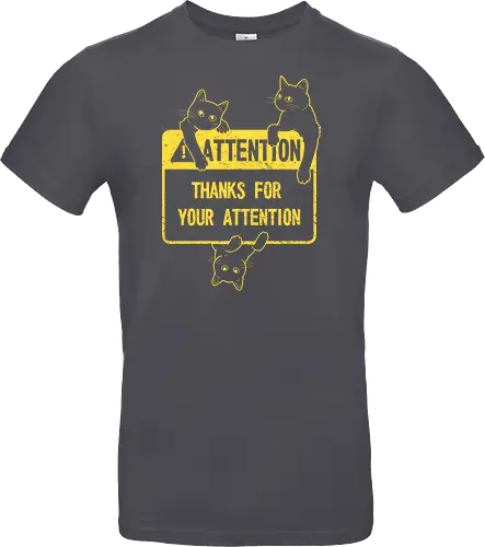 Attention