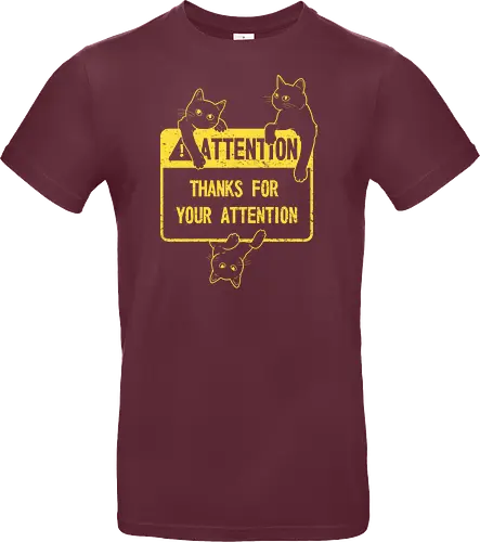 Attention