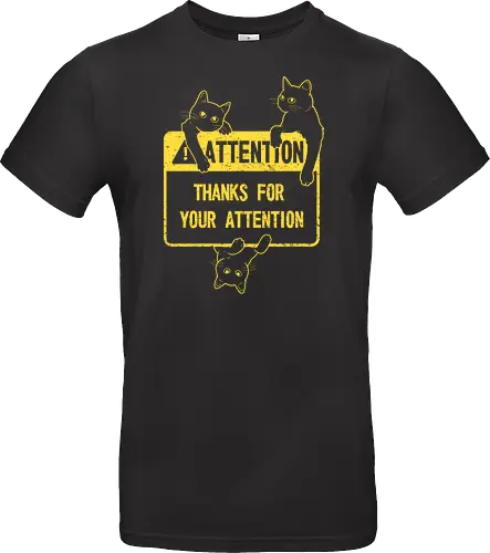 Attention
