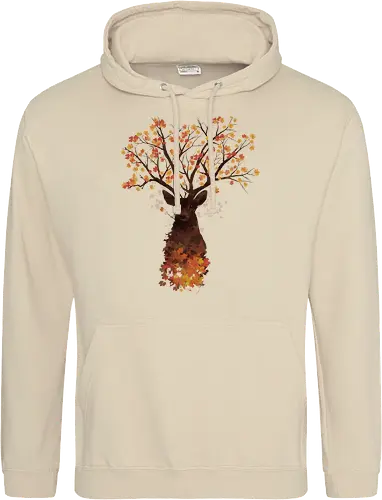 Fall Woods