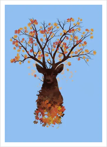 Fall Woods