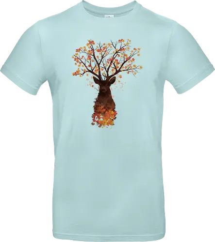 Fall Woods