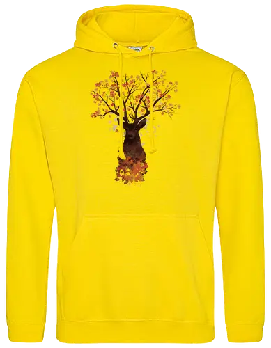 Fall Woods
