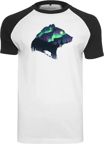 Northern Lights