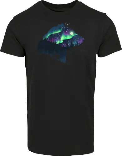 Northern Lights