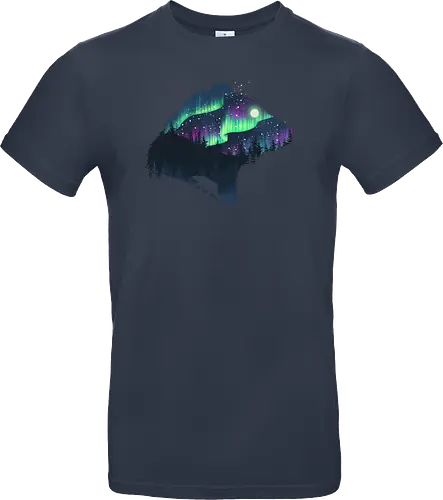 Northern Lights