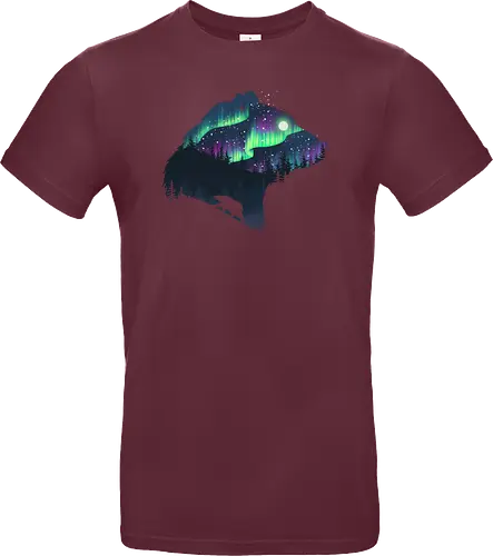 Northern Lights