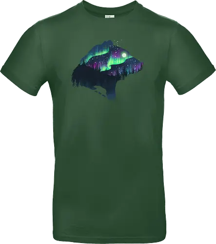 Northern Lights