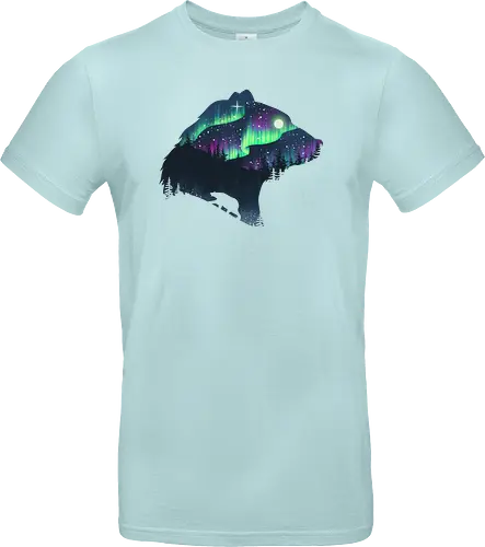 Northern Lights