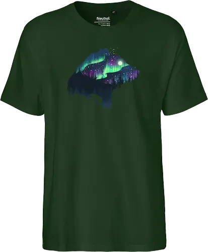 Northern Lights