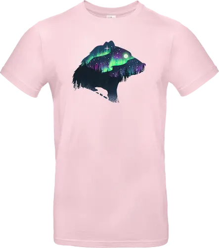 Northern Lights