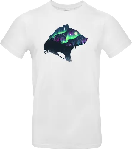 Northern Lights