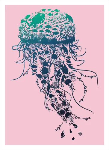Jelly