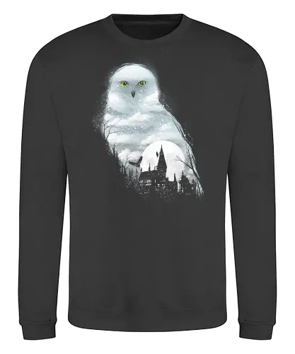 Magical Winter - schnee, snow, eule, owl, schloss, castle - Sweatshirt