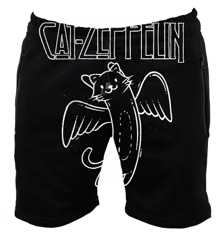 Cat Zeppelin