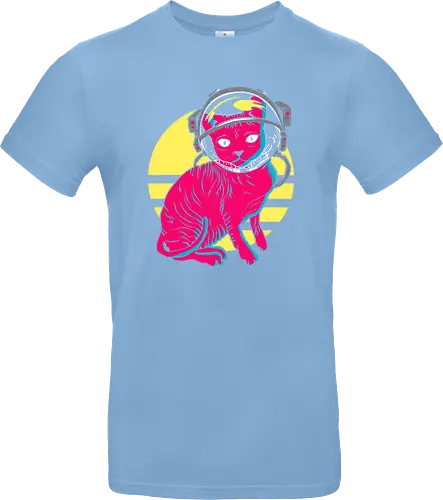 Space Cat