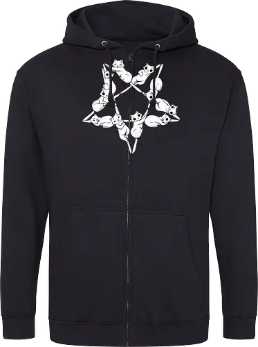 Where Cats go at Night