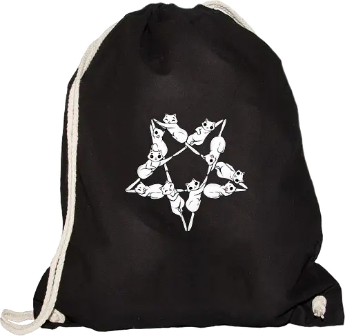 Where Cats go at Night