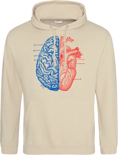 Heart and Brain