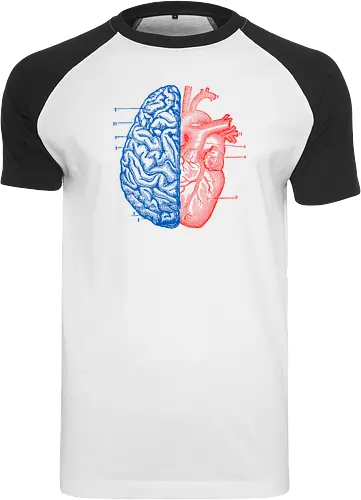 Heart and Brain