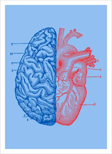 Heart and Brain