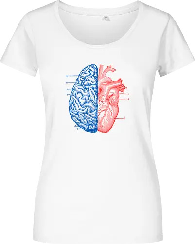 Heart and Brain