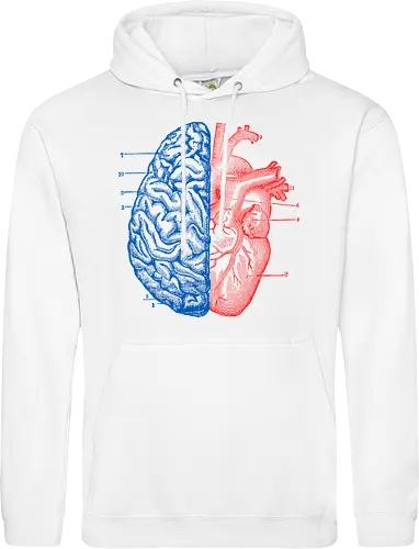 Heart and Brain
