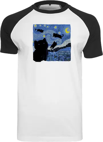 The Starry Cat Night