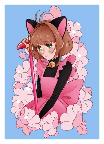 CatCaptor
