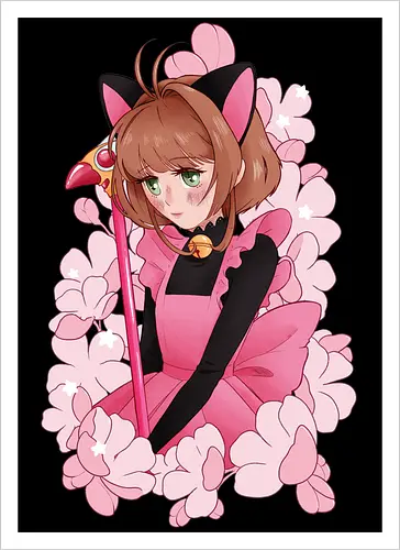 CatCaptor
