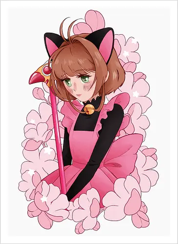 CatCaptor
