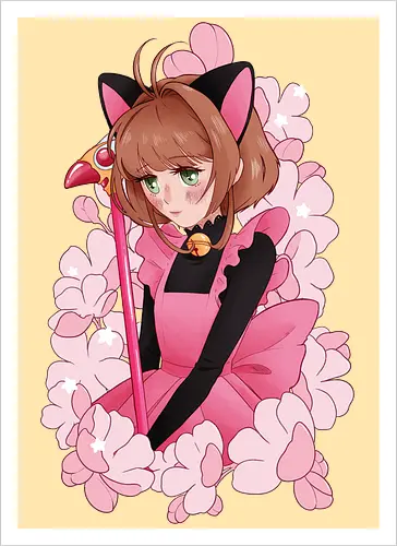 CatCaptor