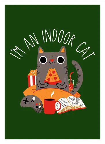 Indoor Cat