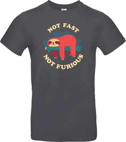 Not Fast Not Furious