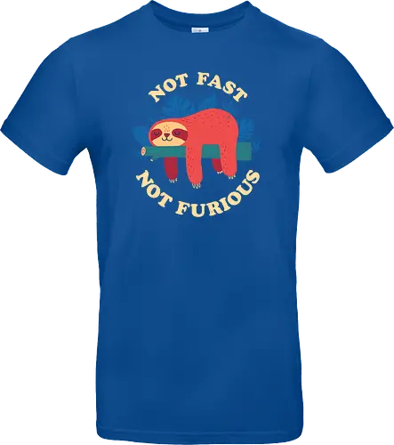 Not Fast Not Furious
