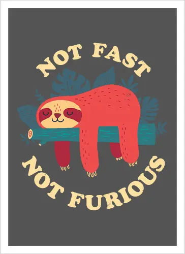 Not Fast Not Furious