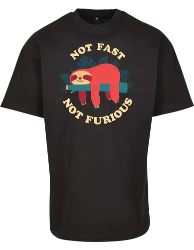 Not Fast Not Furious