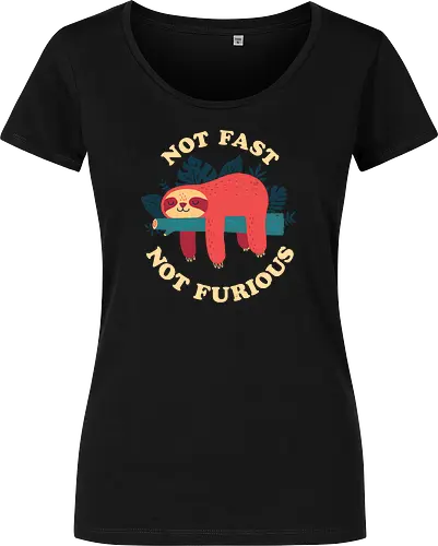 Not Fast Not Furious