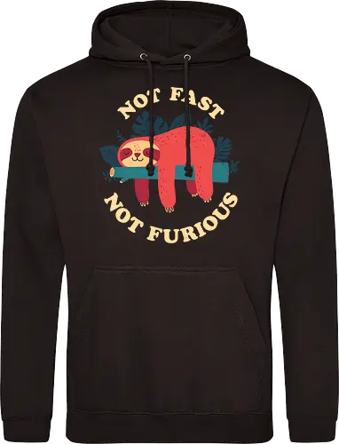 Not Fast Not Furious